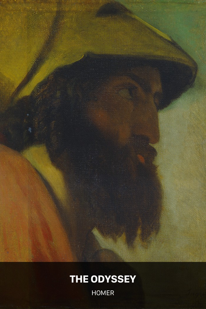 Cover of The Odyssey